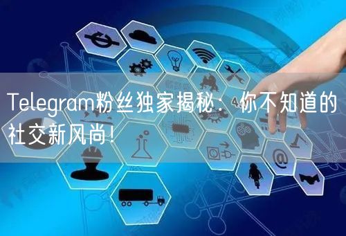 Telegram粉丝独家揭秘:你不知道的社交新风尚!
