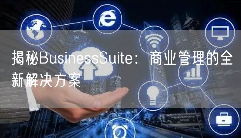 揭秘BusinessSuite:商业管理的全新解决方案