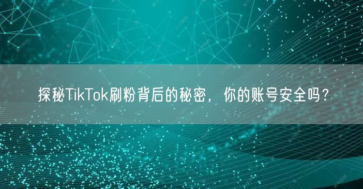 探秘TikTok刷粉背后的秘密，你的账号安全吗？
