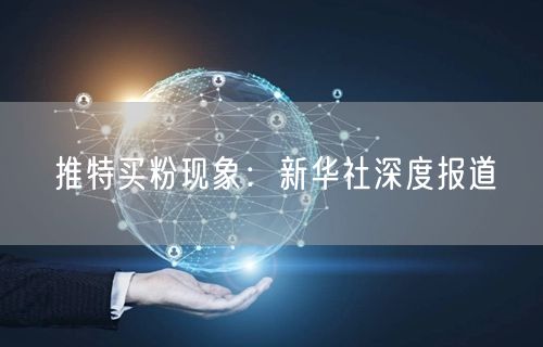 推特买粉现象:新华社深度报道