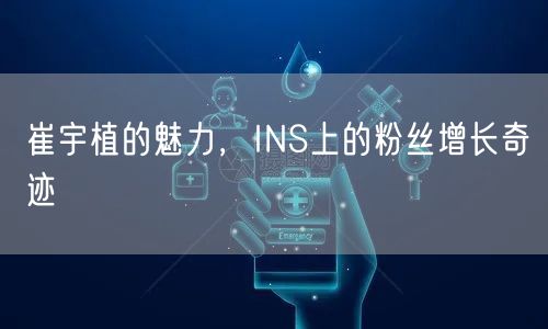 崔宇植的魅力,INS上的粉丝增长奇迹