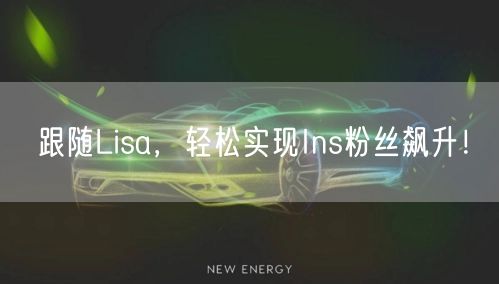 跟随Lisa，轻松实现Ins粉丝飙升！