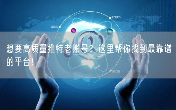 想要高质量推特老账号？这里帮你找到最靠谱的平台！