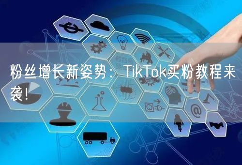 粉丝增长新姿势：TikTok买粉教程来袭！