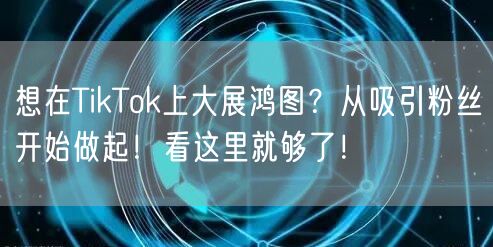 想在TikTok上大展鸿图？从吸引粉丝开始做起！看这里就够了！