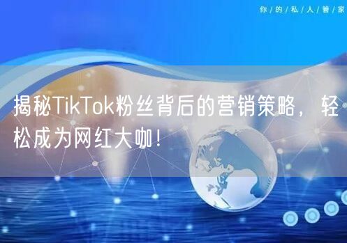 揭秘TikTok粉丝背后的营销策略，轻松成为网红大咖！