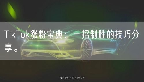 TikTok涨粉宝典：一招制胜的技巧分享。