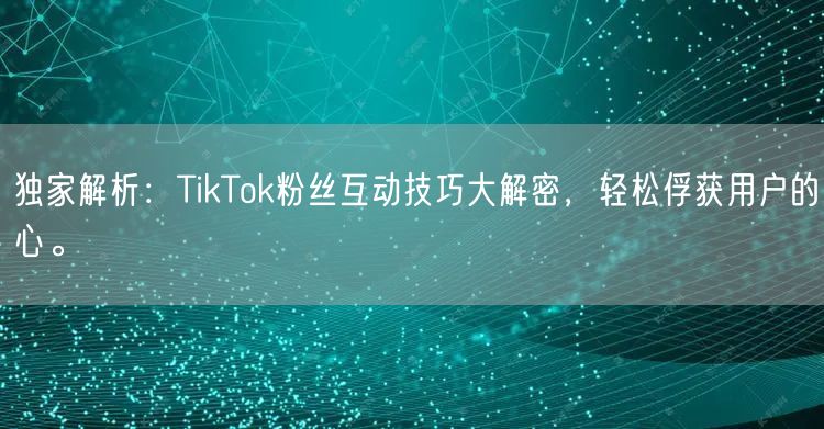 独家解析：TikTok粉丝互动技巧大解密，轻松俘获用户的心。