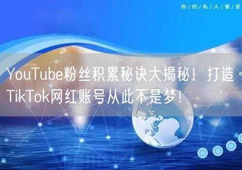 YouTube粉丝积累秘诀大揭秘!打造TikTok网红账号从此不是梦!