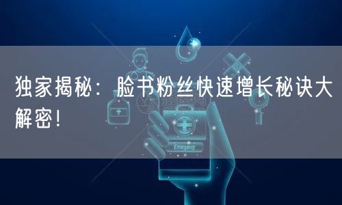 独家揭秘：脸书粉丝快速增长秘诀大解密！