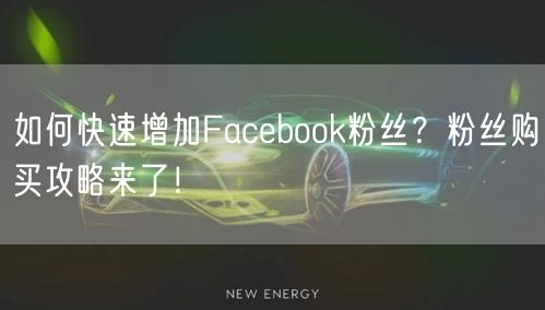 如何快速增加Facebook粉丝？粉丝购买攻略来了！