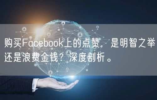 购买Facebook上的点赞，是明智之举还是浪费金钱？深度剖析。