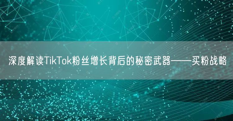 深度解读TikTok粉丝增长背后的秘密武器——买粉战略