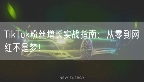 TikTok粉丝增长实战指南：从零到网红不是梦！