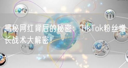 揭秘网红背后的秘密:TikTok粉丝增长战术大解密!