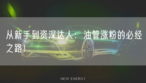 从新手到资深达人:油管涨粉的必经之路!