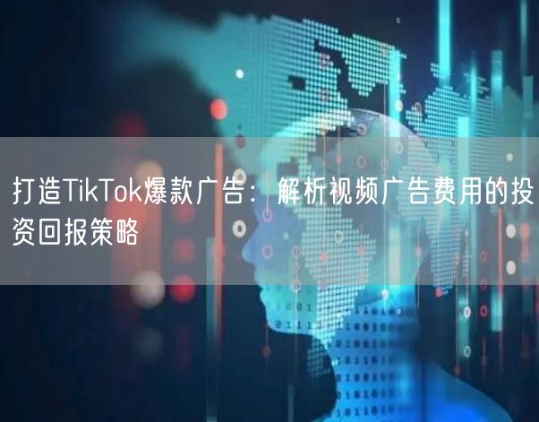 打造TikTok爆款广告：解析视频广告费用的投资回报策略