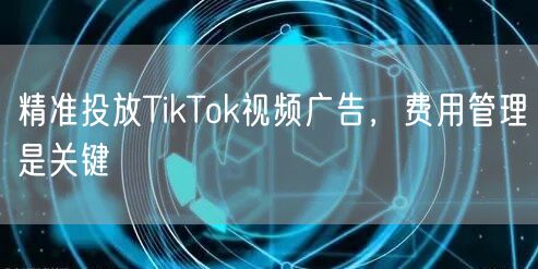精准投放TikTok视频广告，费用管理是关键