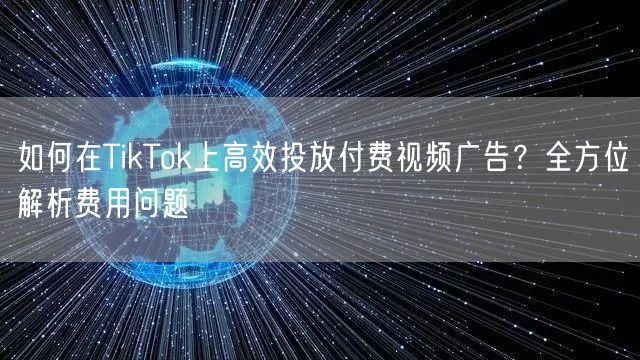如何在TikTok上高效投放付费视频广告？全方位解析费用问题