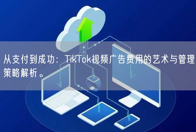 从支付到成功：TikTok视频广告费用的艺术与管理策略解析。