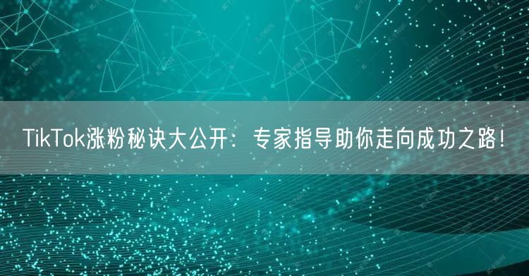 TikTok涨粉秘诀大公开：专家指导助你走向成功之路！
