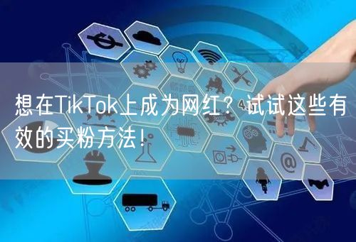 想在TikTok上成为网红？试试这些有效的买粉方法！