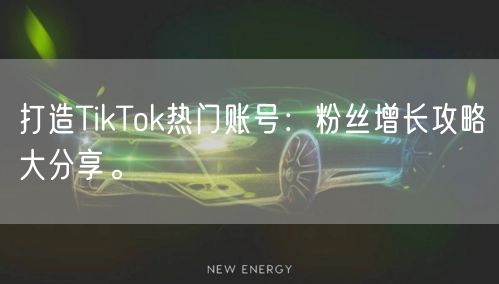 打造TikTok热门账号：粉丝增长攻略大分享。