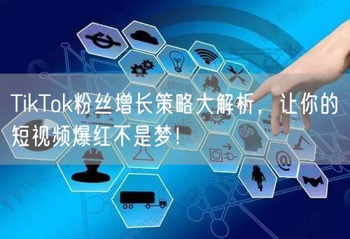 TikTok粉丝增长策略大解析，让你的短视频爆红不是梦！