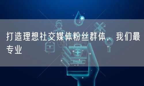 打造理想社交媒体粉丝群体,我们最专业