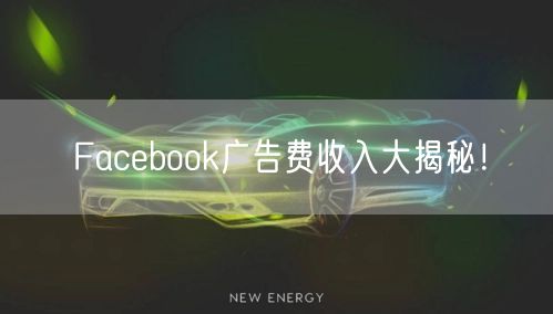 Facebook广告费收入大揭秘！