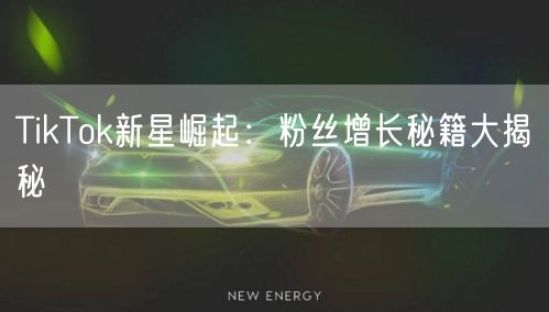 TikTok新星崛起：粉丝增长秘籍大揭秘