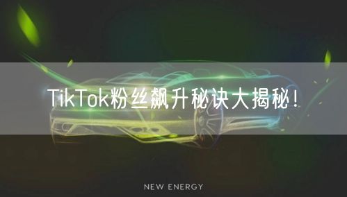 TikTok粉丝飙升秘诀大揭秘！