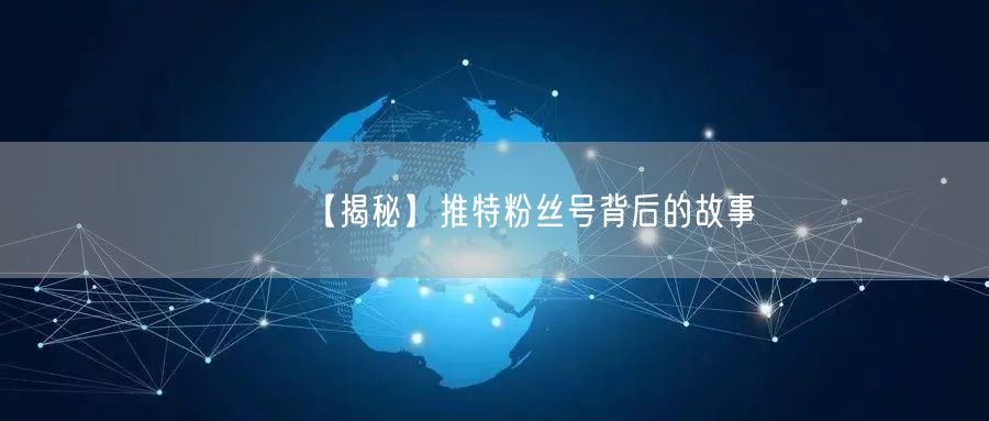 【揭秘】推特粉丝号背后的故事