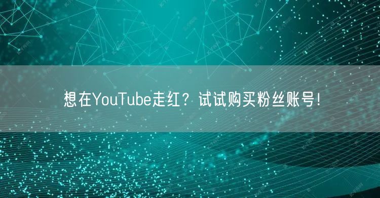 想在YouTube走红？试试购买粉丝账号！
