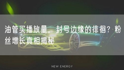 油管买播放量，封号边缘的徘徊？粉丝增长真相揭秘