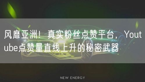 风靡亚洲!真实粉丝点赞平台,Youtube点赞量直线上升的秘密武器