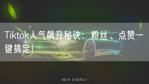 Tiktok人气飙升秘诀：粉丝、点赞一键搞定！