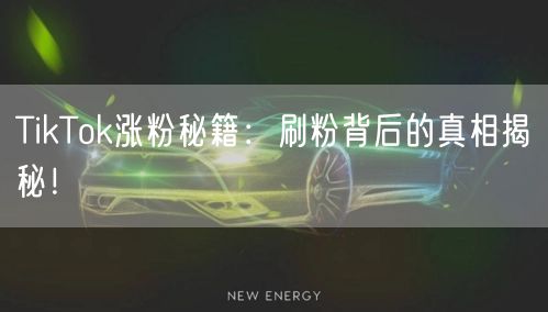 TikTok涨粉秘籍:刷粉背后的真相揭秘!