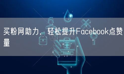 买粉网助力，轻松提升Facebook点赞量