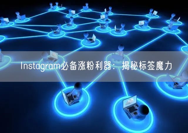 Instagram必备涨粉利器：揭秘标签魔力
