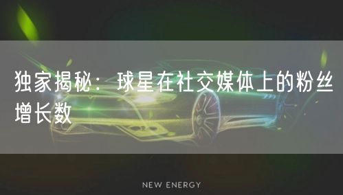 独家揭秘：球星在社交媒体上的粉丝增长数