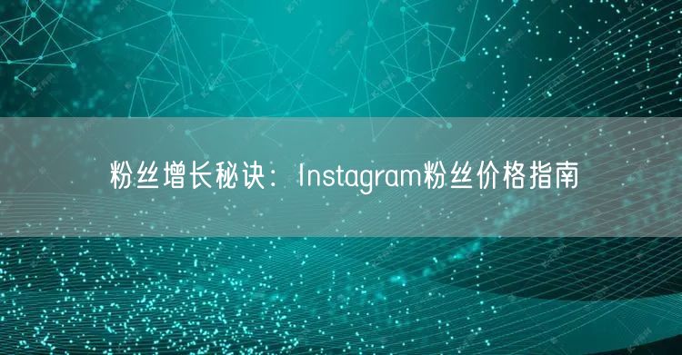 粉丝增长秘诀：Instagram粉丝价格指南