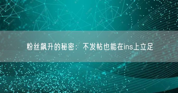 粉丝飙升的秘密：不发帖也能在ins上立足