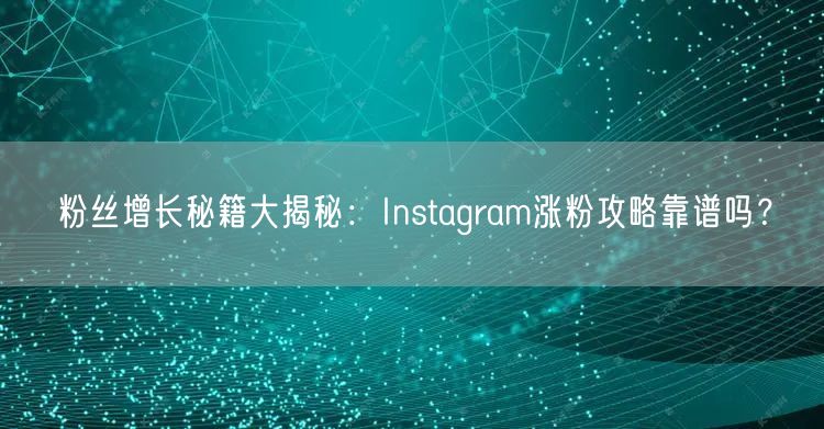 粉丝增长秘籍大揭秘：Instagram涨粉攻略靠谱吗？