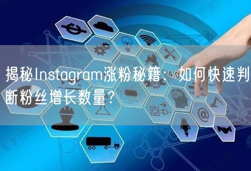 揭秘Instagram涨粉秘籍：如何快速判断粉丝增长数量？