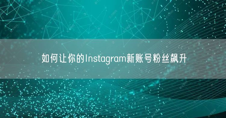 如何让你的Instagram新账号粉丝飙升