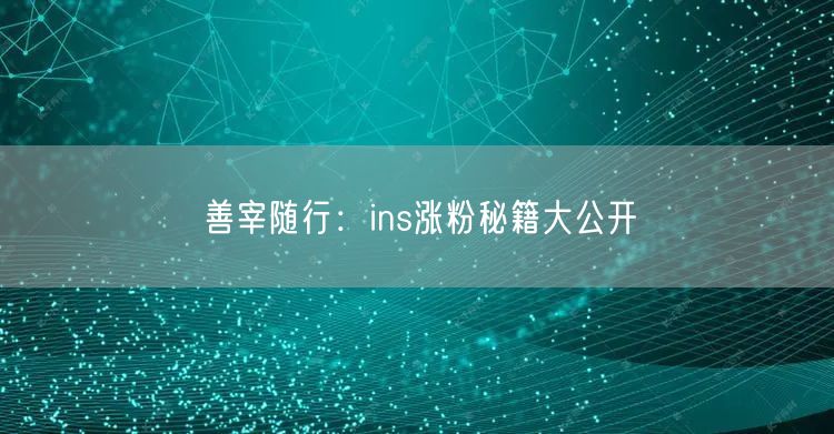 善宰随行：ins涨粉秘籍大公开