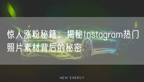 惊人涨粉秘籍：揭秘Instagram热门照片素材背后的秘密