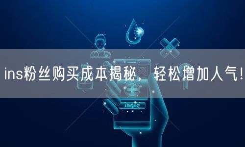 ins粉丝购买成本揭秘，轻松增加人气！