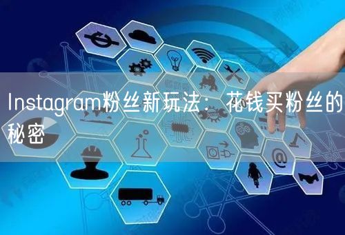 Instagram粉丝新玩法:花钱买粉丝的秘密